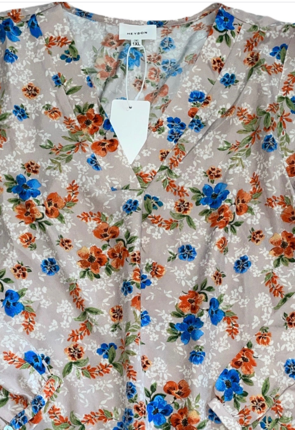 Heyson Robin Floral Long-Sleeve V Neck Blouse (1x)