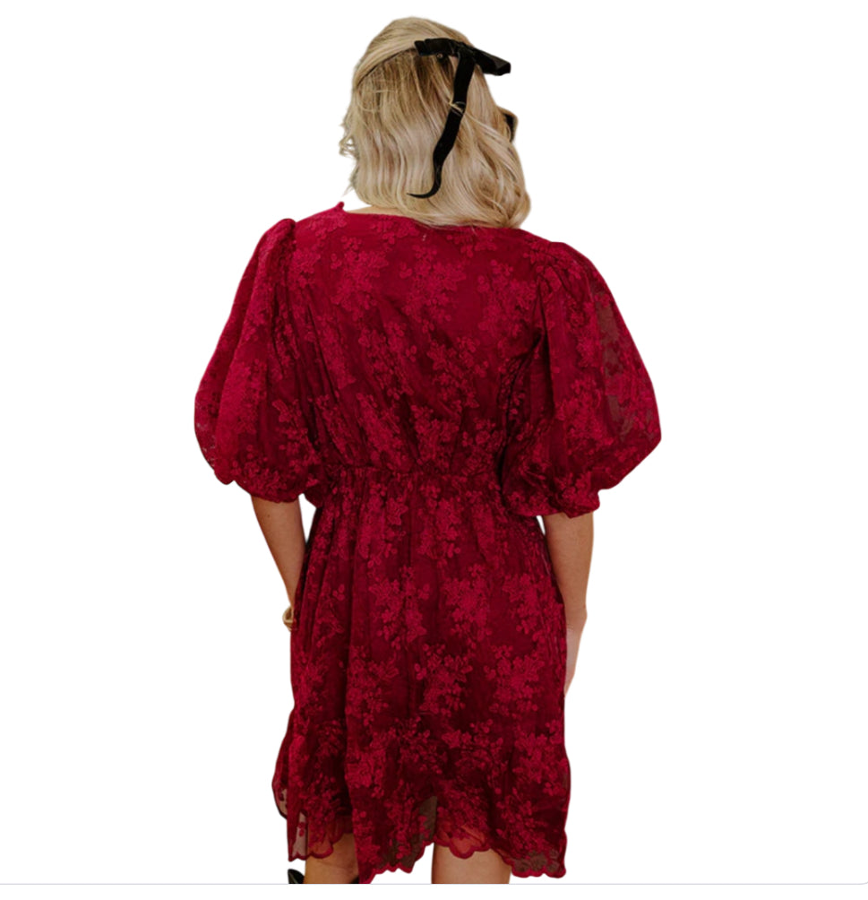 Baevely EMBROIDERED MINI DRESS (2XL)