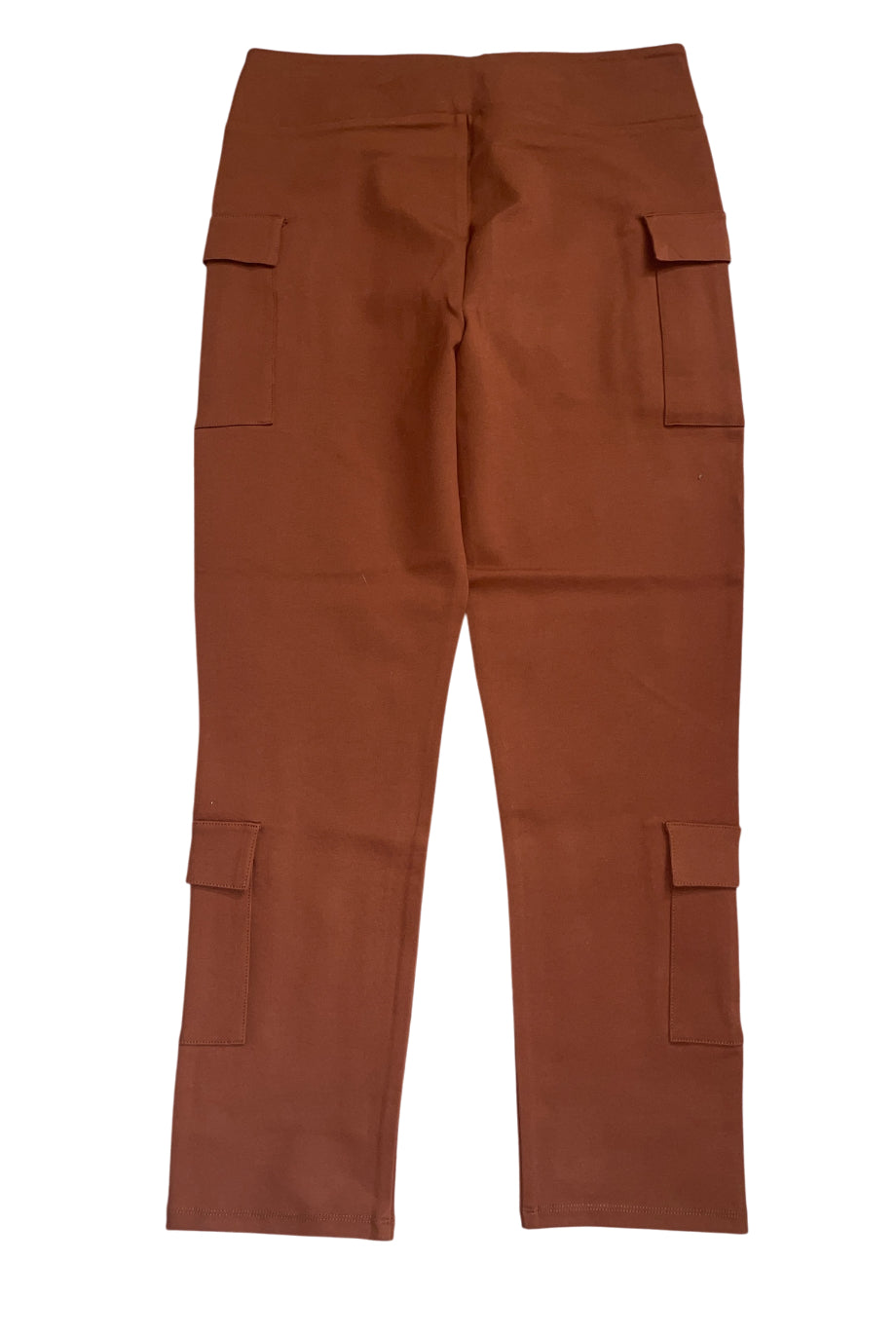 Sky Plus Rust Colored Pull On Cargo Pants (1x)