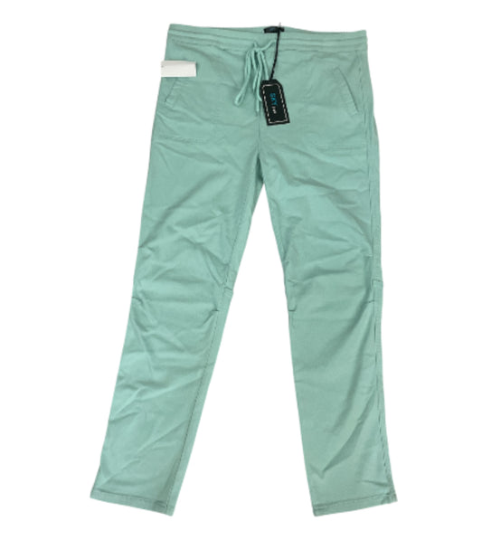 Sky Plus Mint Straight Leg Jogger (1x)
