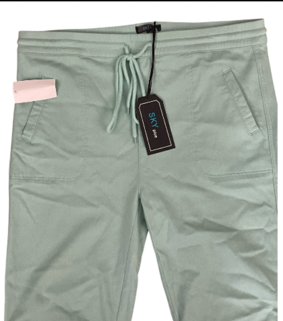 Sky Plus Mint Straight Leg Jogger (1x)