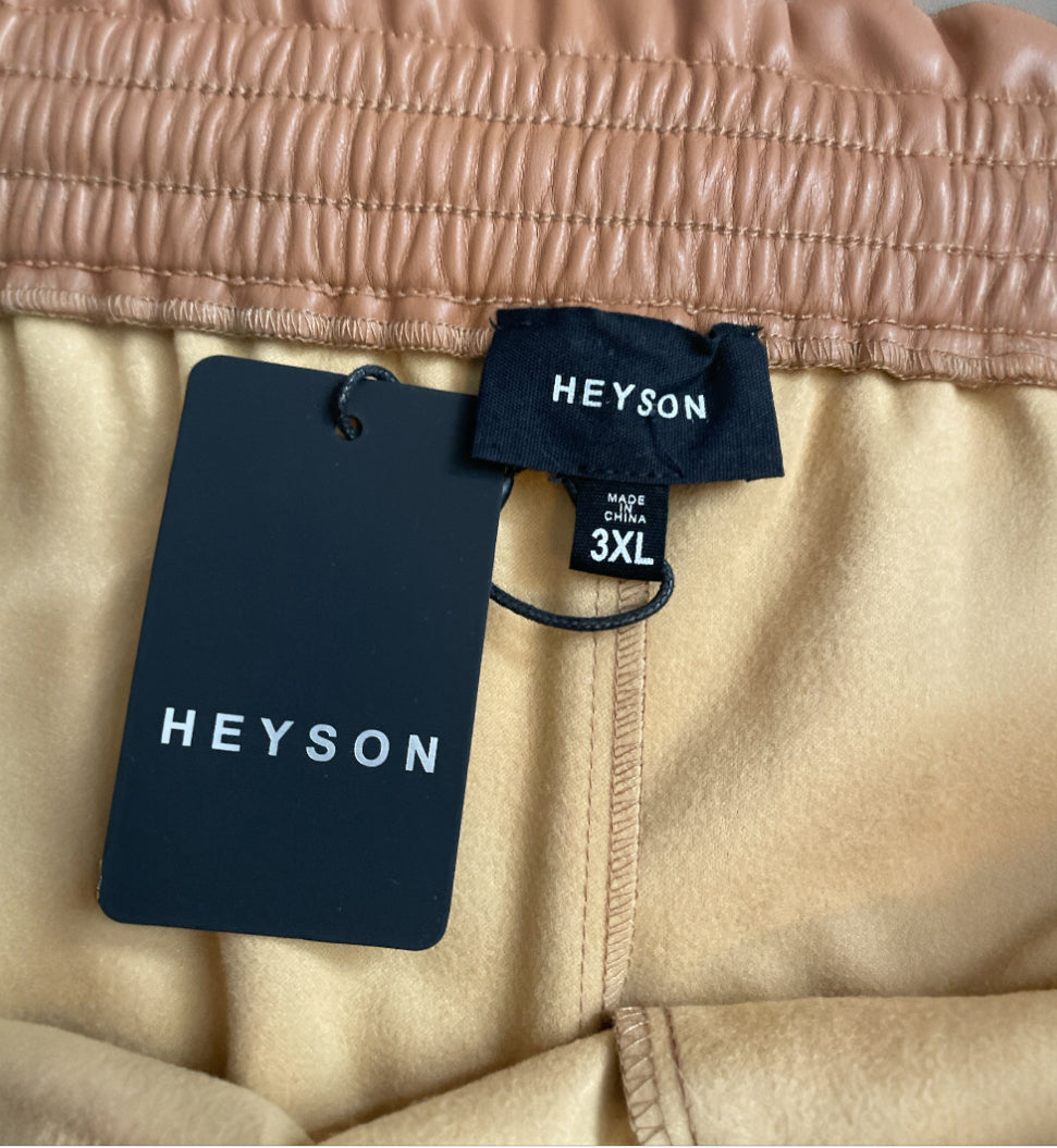Heyson Brown Faux Leather Shorts (3x)