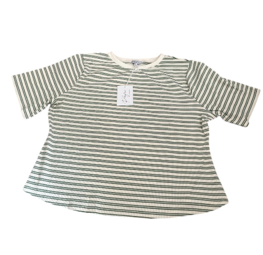 Polagram Stripe Green + Beige Top (3x)