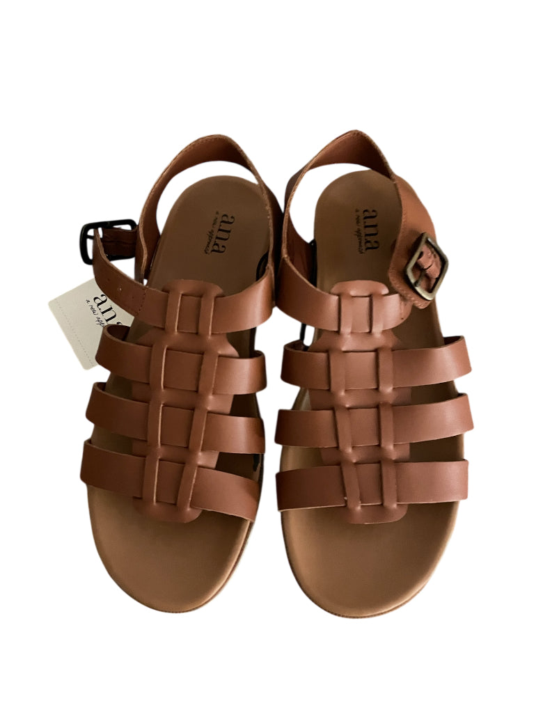 Ana Gladiator Brown Sandals (7)