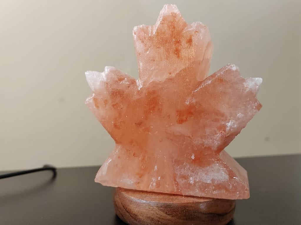Himalayan Pink Salt Lamp