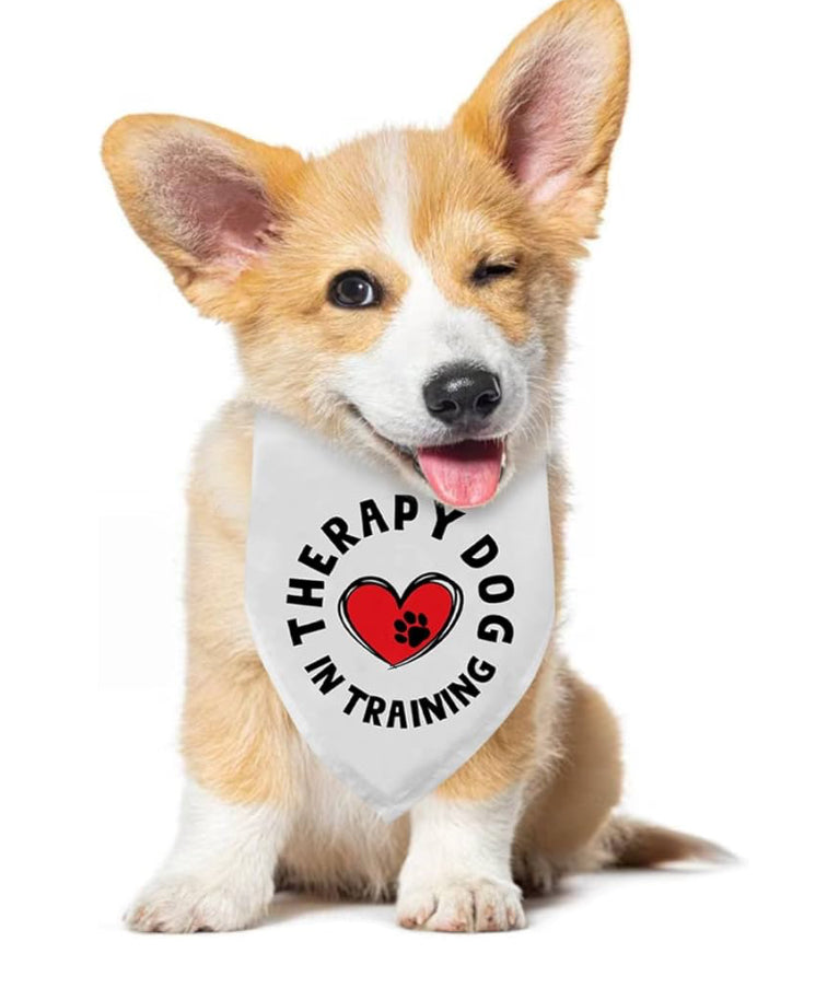 Therapy Dog in Training Dog Bandana