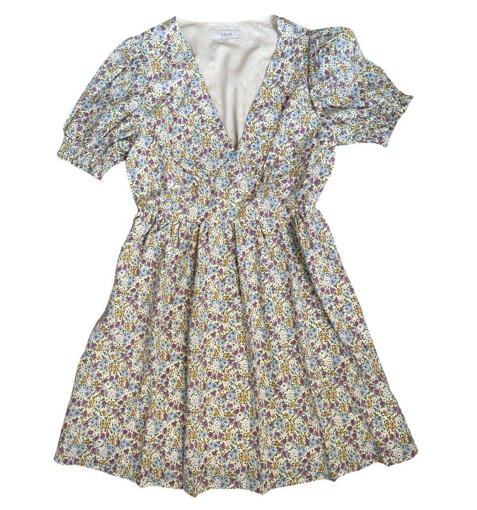 Lilou Floral Ditsy Print Dress (Medium)