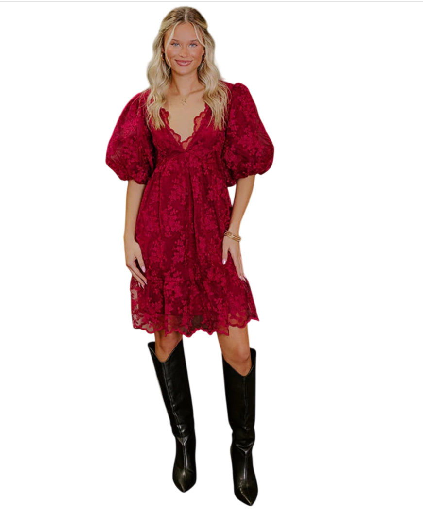 Baevely EMBROIDERED MINI DRESS (2XL)