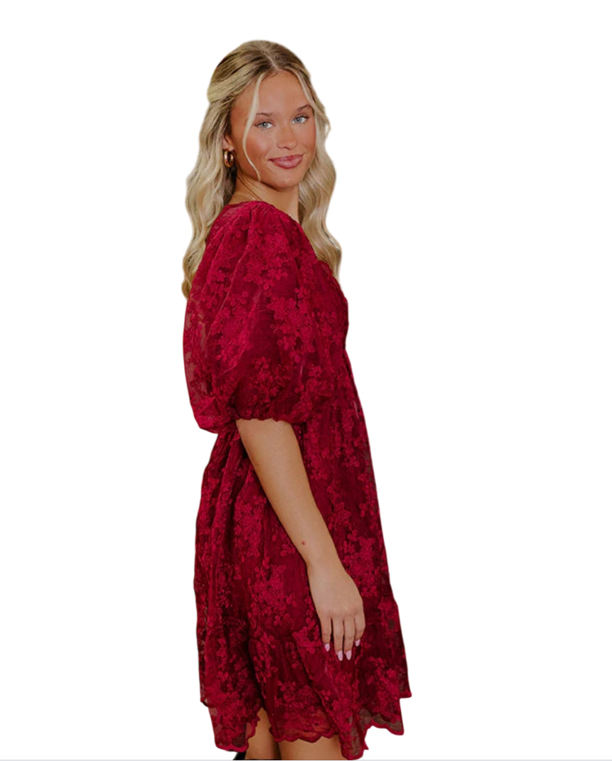 Baevely EMBROIDERED MINI DRESS (2XL)