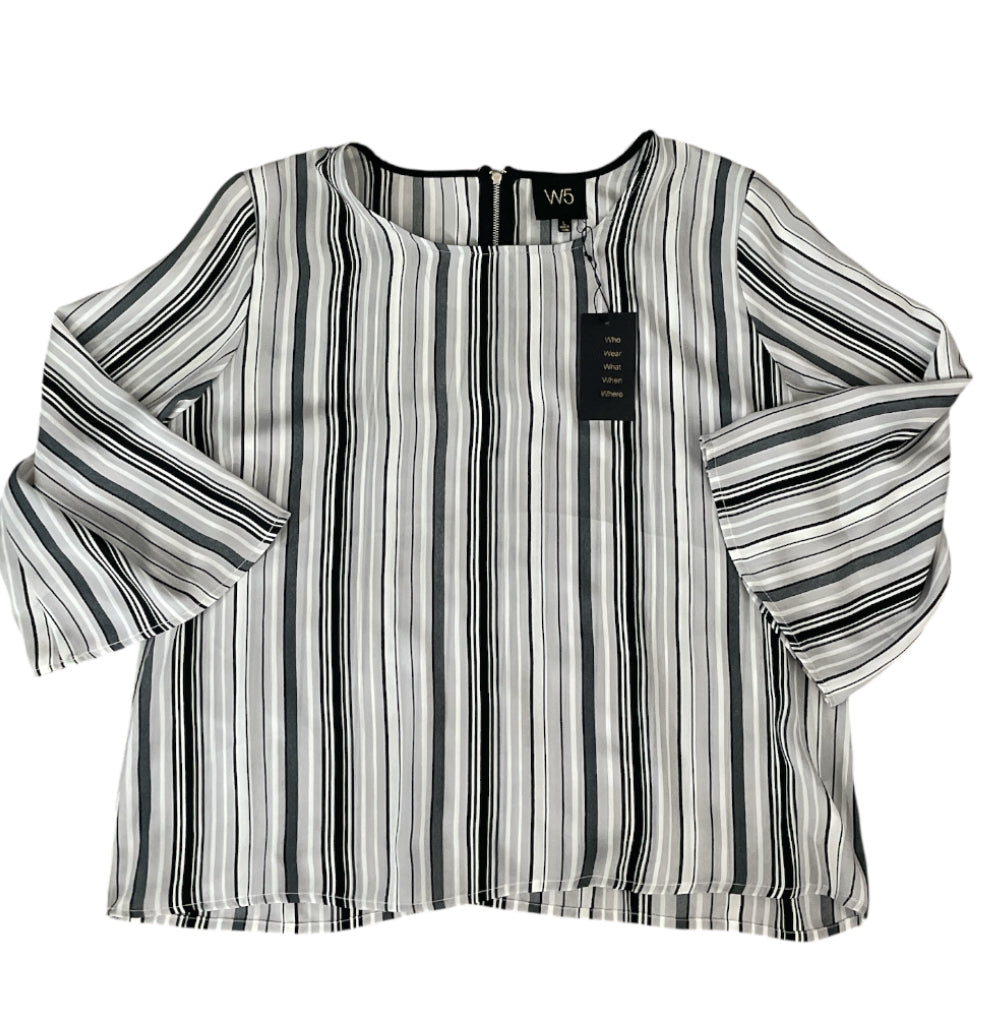 W5 Chiffon Striped Long Sleeve Lightweight Blouse (Large)