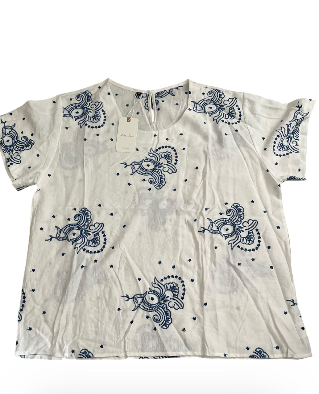Fashion Space Blue Paisley Embroidered Detailed Blouse (X-Large)