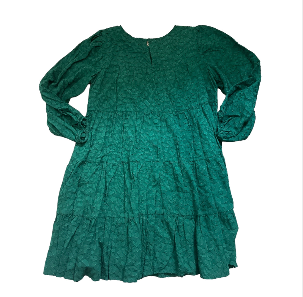 Zara Balloon Sleeve Jacquard Dress (X-Small)