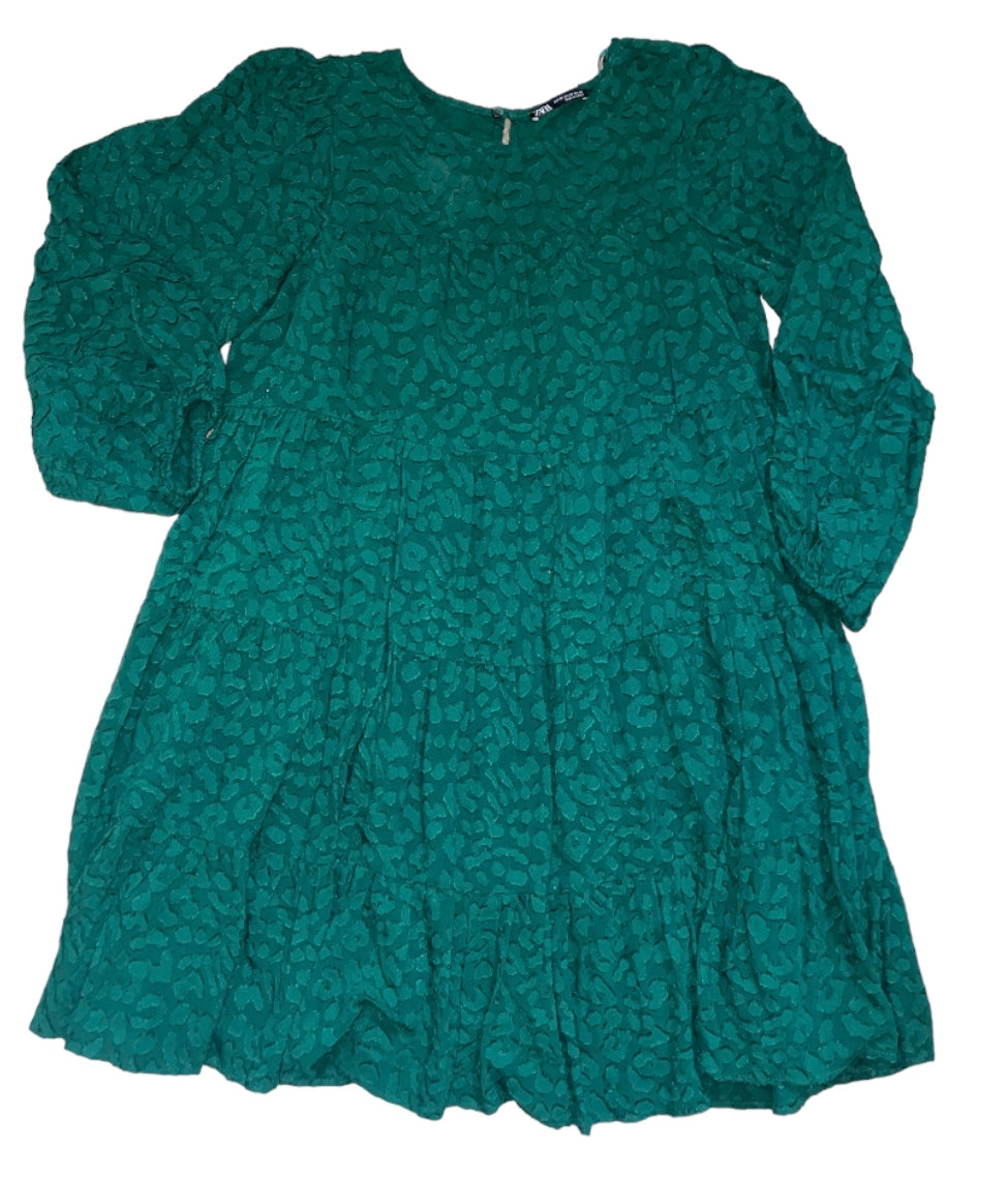 Zara Balloon Sleeve Jacquard Dress (X-Small)