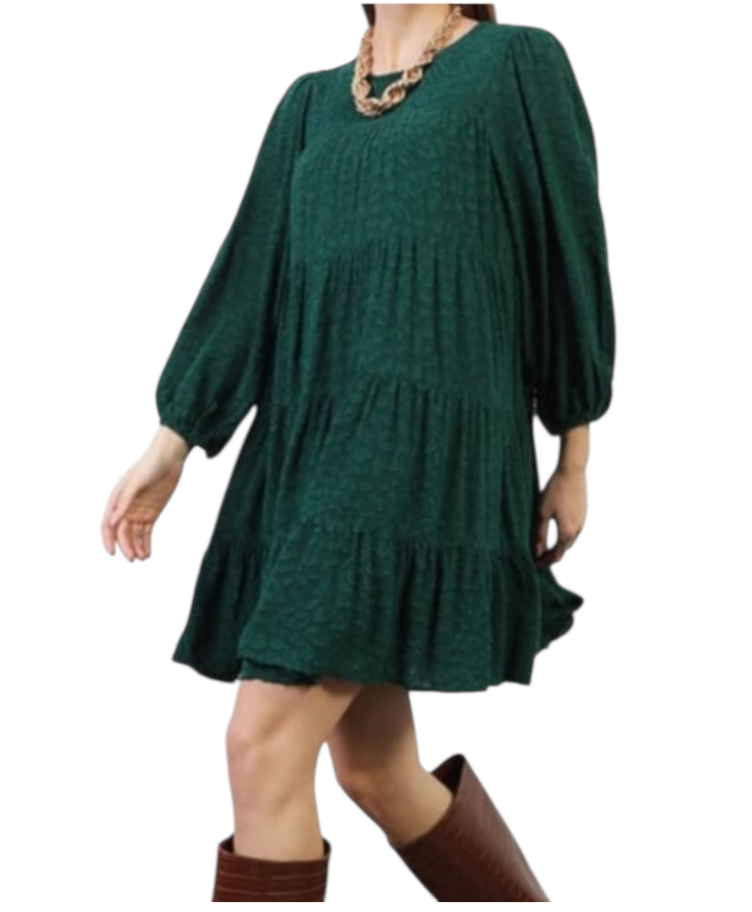 Zara Balloon Sleeve Jacquard Dress (X-Small)