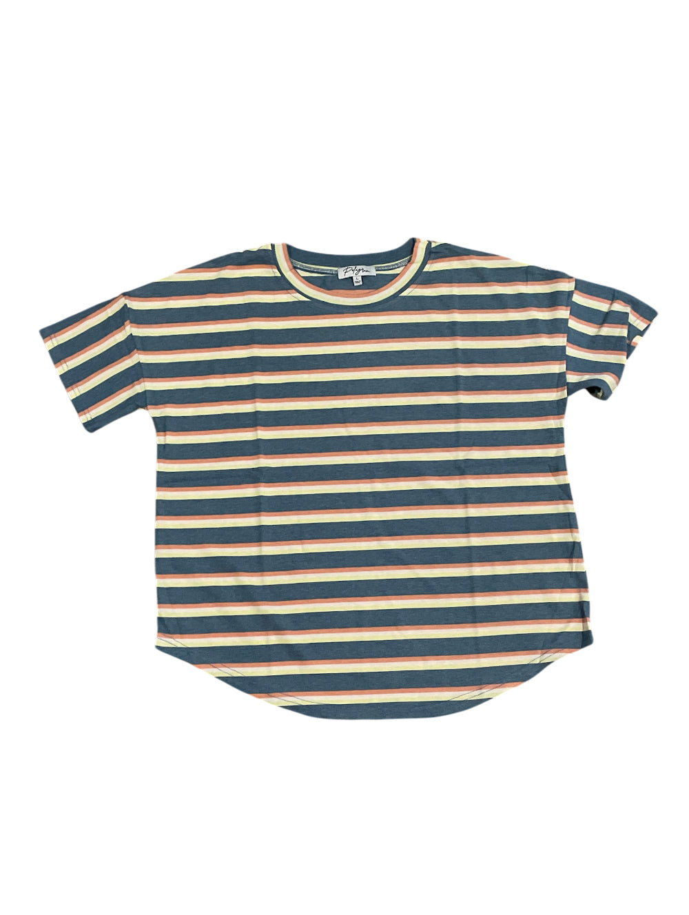 Polagram Blue Multi Striped T-shirt (Medium)