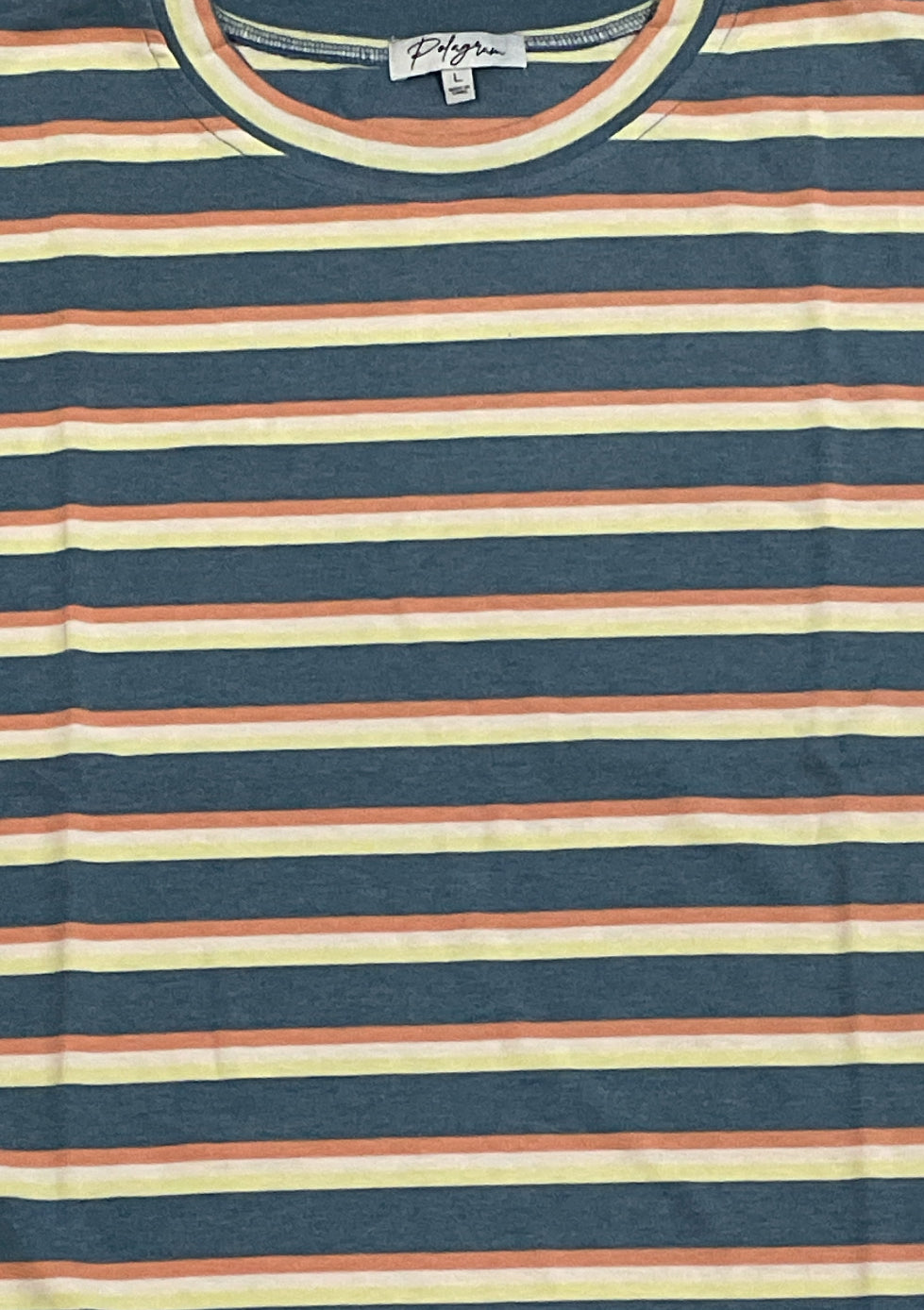 Polagram Blue Multi Striped T-shirt (Medium)