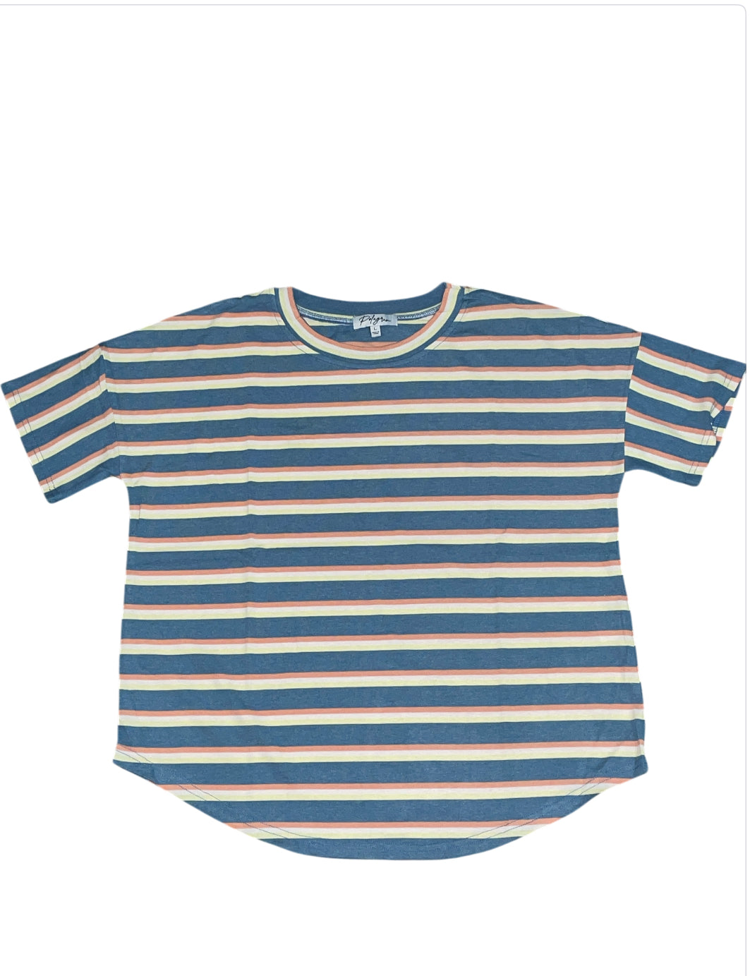 Polagram Blue Multi Striped T-shirt (Medium)