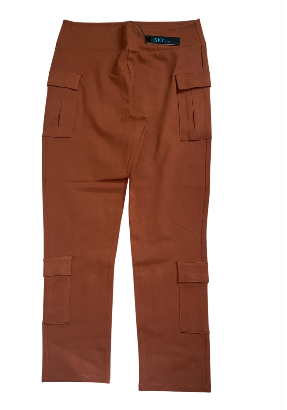 Sky Plus Rust Colored Pull On Cargo Pants (1x)