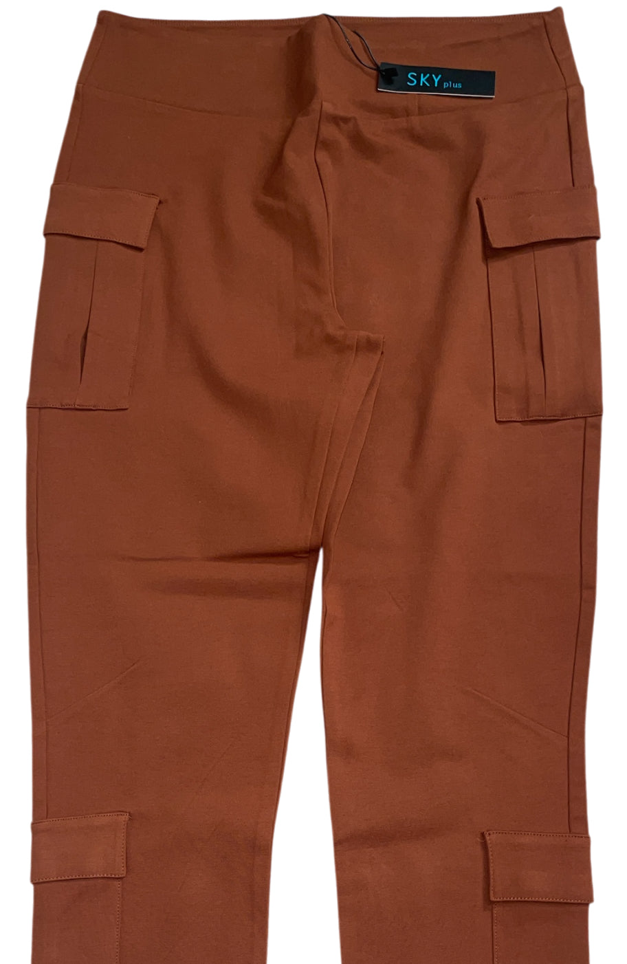 Sky Plus Rust Colored Pull On Cargo Pants (1x)
