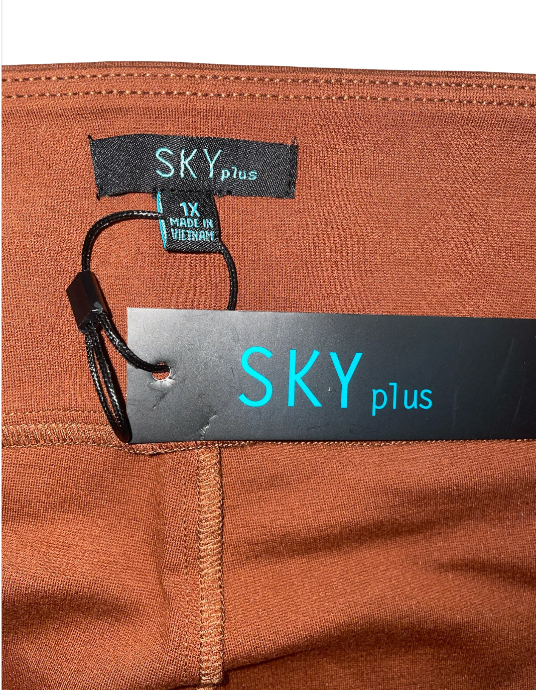 Sky Plus Rust Colored Pull On Cargo Pants (1x)