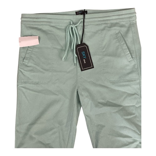 Sky Plus Mint Straight Leg Jogger (1x)